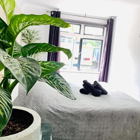 Amsterdam-houseboat-amstel Gæstehus