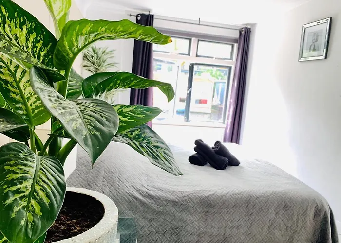 Amsterdam-Houseboat-Amstel Guest house